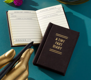 A Tiny Fart Diary